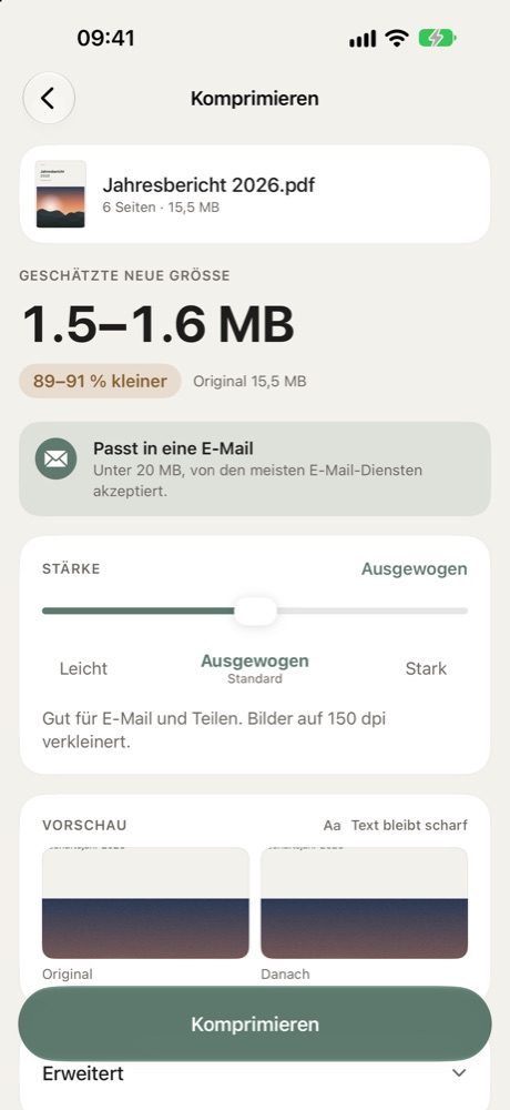 Verkleinern-Bildschirm: ein 15,5-MB-Bericht, geschätzt auf 1,4 bis 1,6 MB, mit dem Hinweis, dass er per E-Mail passt.